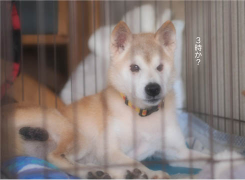 1日ブログ8.jpg