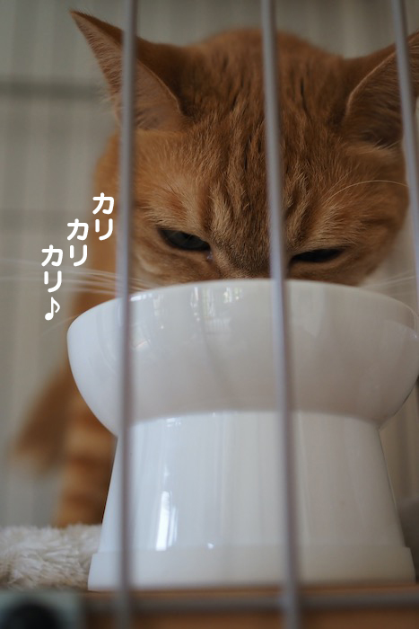 31日夕ブログ２