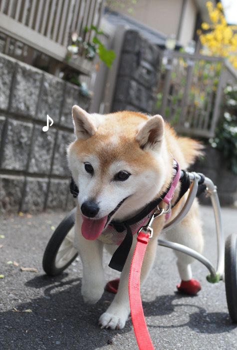 2日夕ブログ８