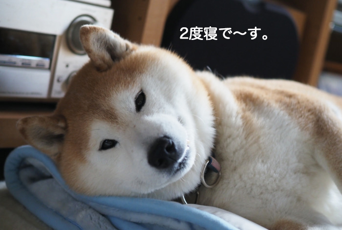 6日夜ブログ３
