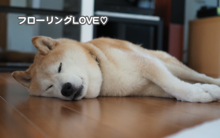 2日夕ブログ１