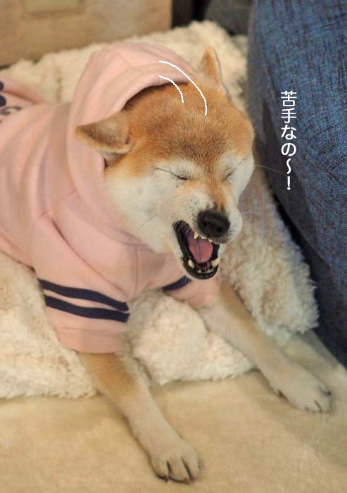 17日ブログ６