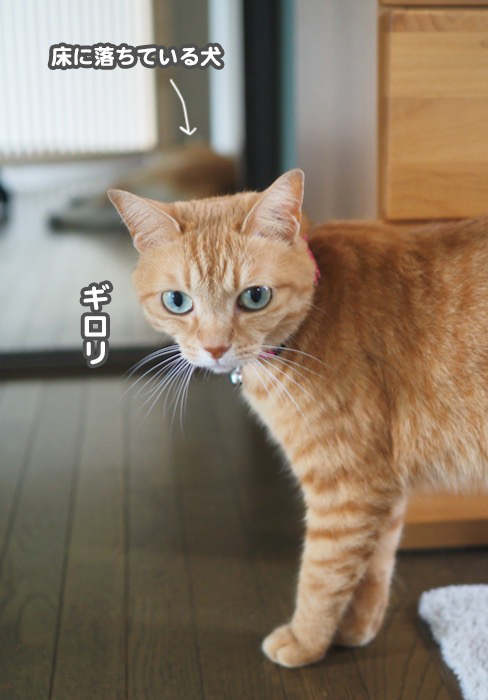 9日ブログ３