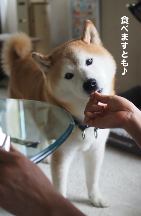 18日夕ブログ4