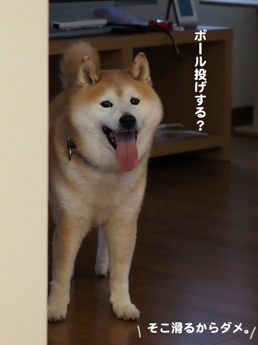 9日朝ブログ２