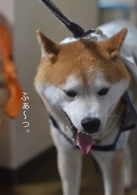 3日ブログ4