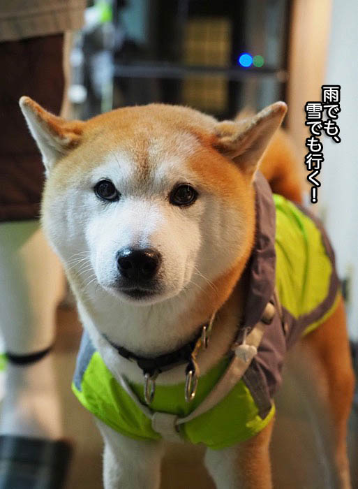 19日ブログ５