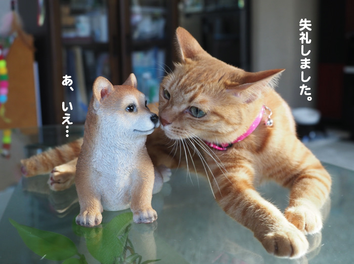 19日夕ブログ４