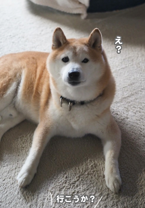 7日夕ブログ２