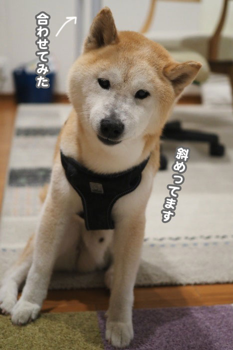 7日ブログ２