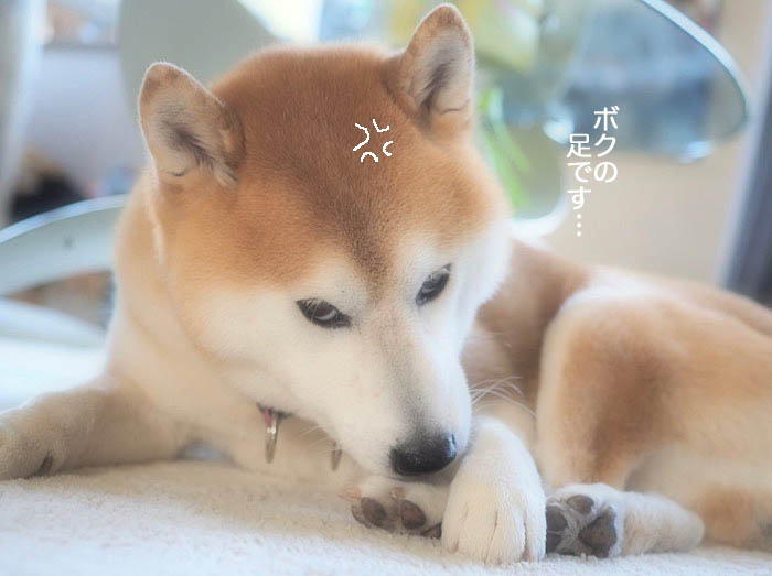 15日ブログ５