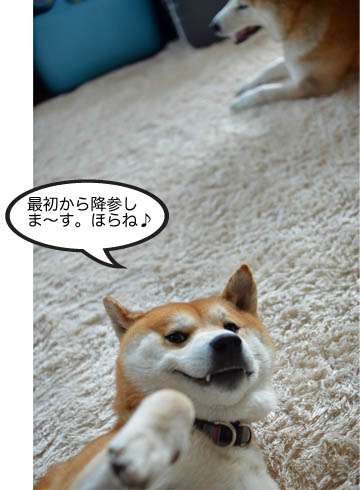 13日ブログ9.jpg