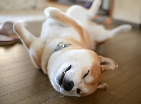 28日ブログ8.jpg