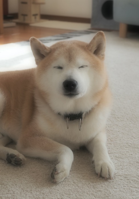 18日午前ブログ１