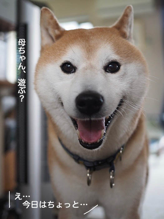 28日ブログ２