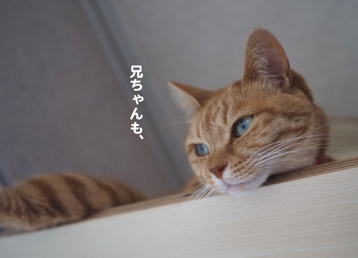 18日夕ブログ６