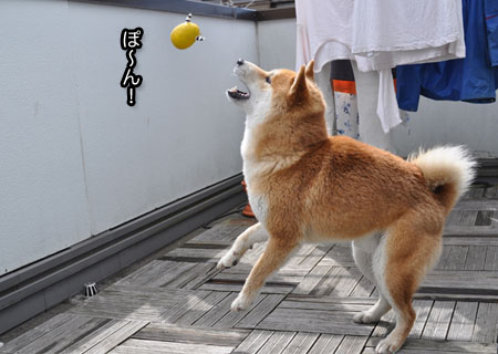 26日ブログ10.jpg