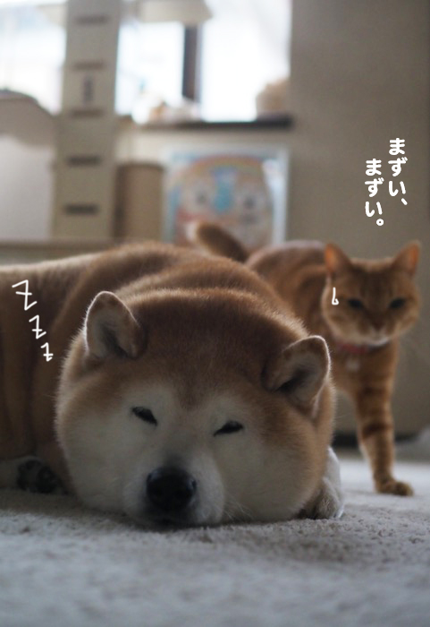 5日ブログ３