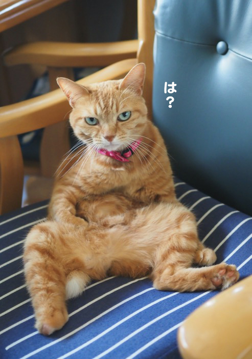 4日夕ブログ３