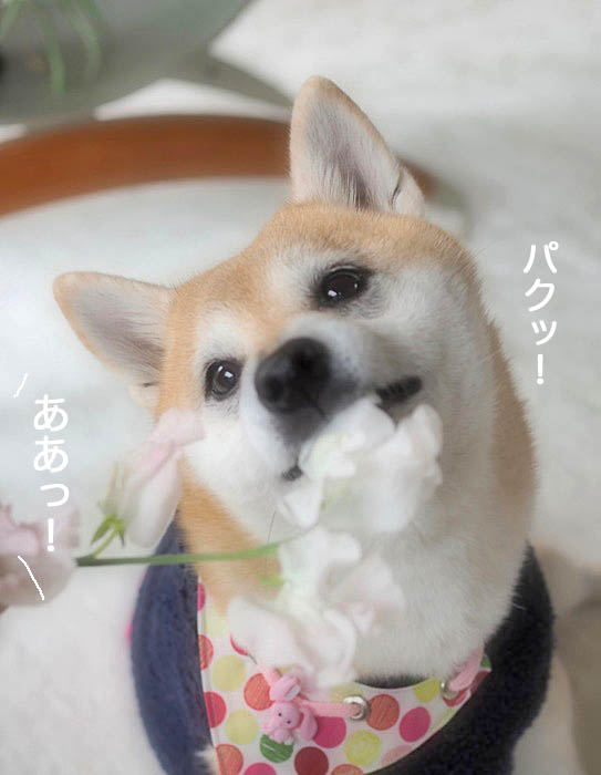 13日ブログ7