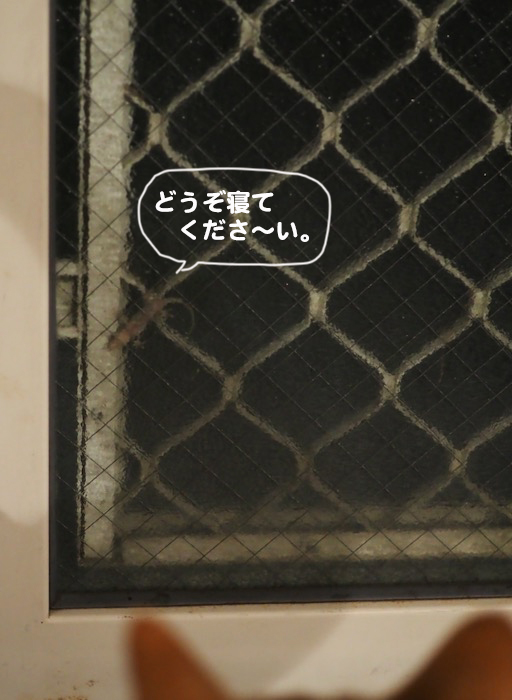 4日夕ブログ１０