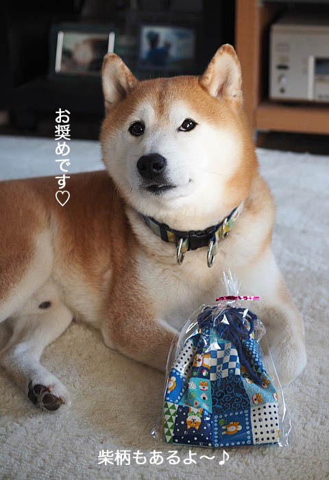 5日ブログ２