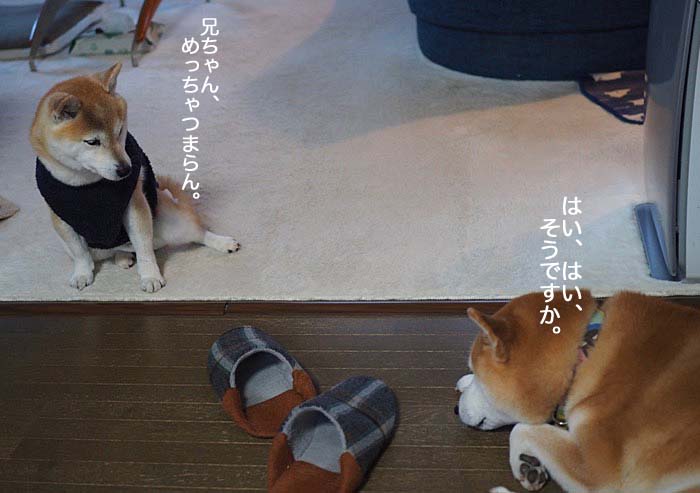 2日夜ブログ８