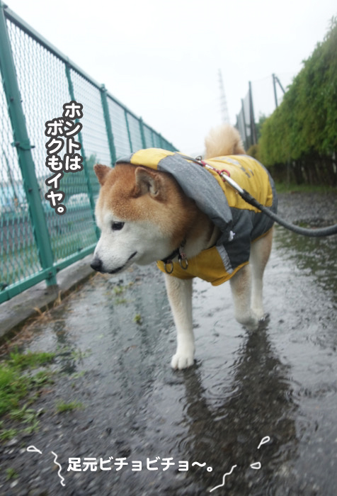 1日のブログ５