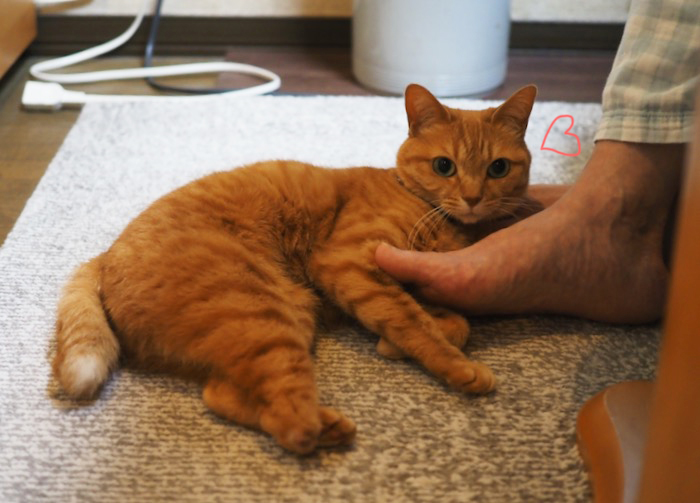 31日ブログ２