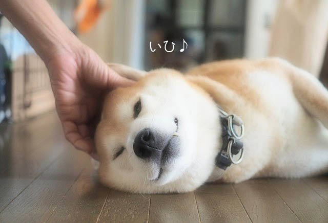 24日ブログ2