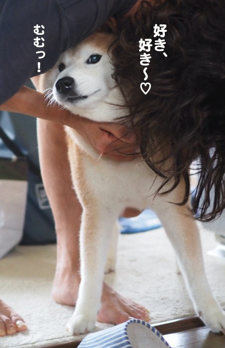 6日夕ブログ１０