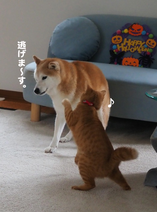 1日夕ブログ１１