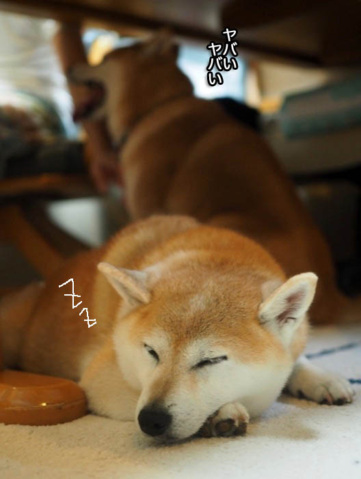 23日夕ブログ４