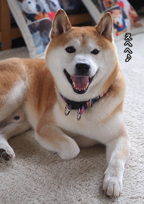 22日ブログ１