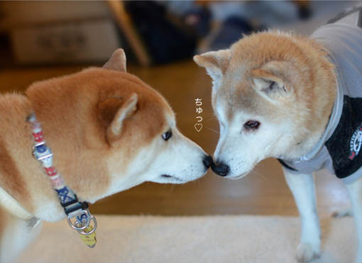 25日ブログ9.jpg