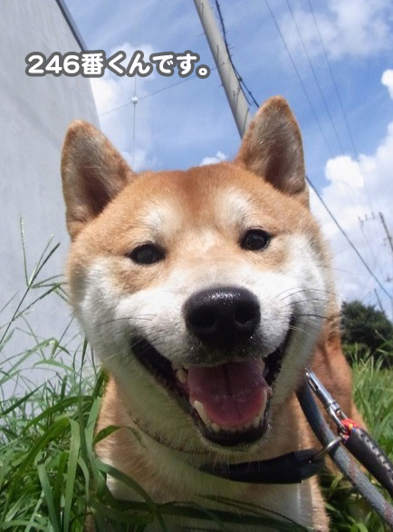 11日ブログ７