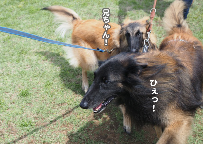 12日夕ブログ１２