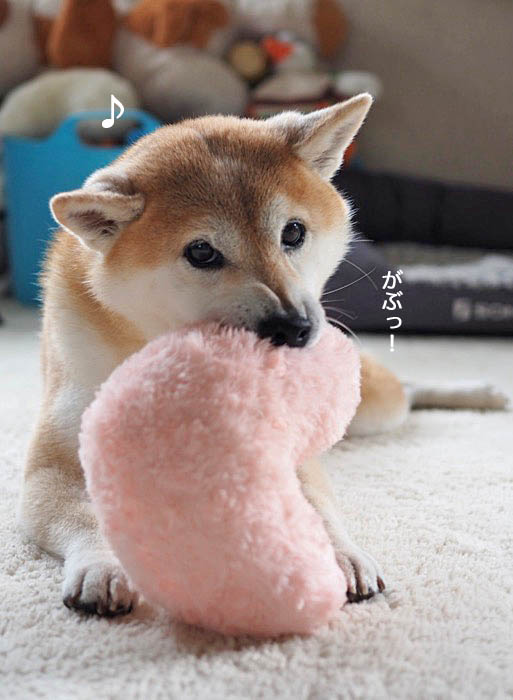 18日午後ブログ３
