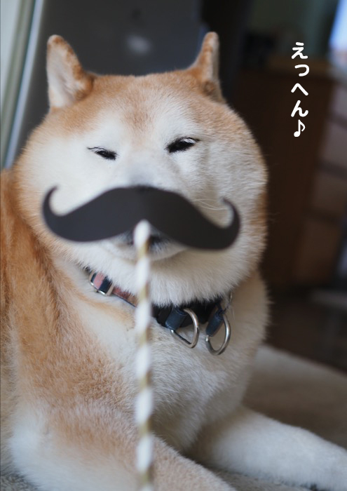 21日ブログ２