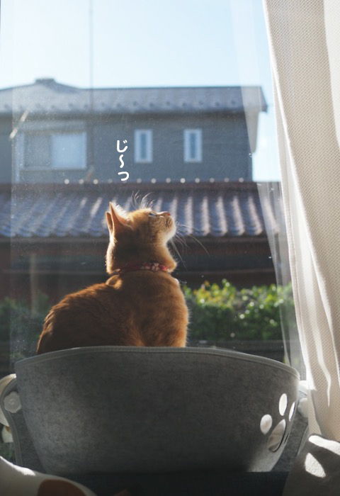 18日ブログ１