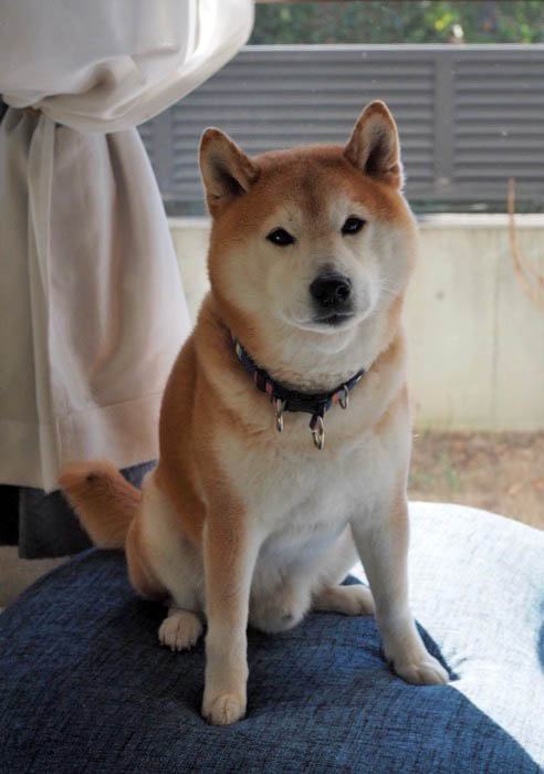 16日ブログ１