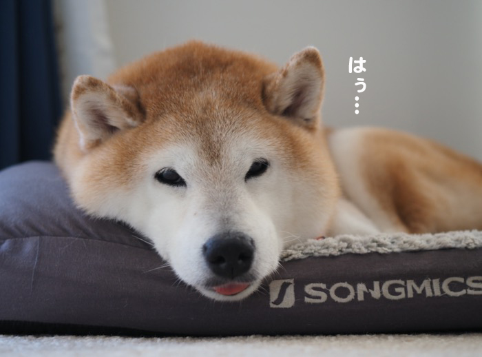 24日夜ブログ７