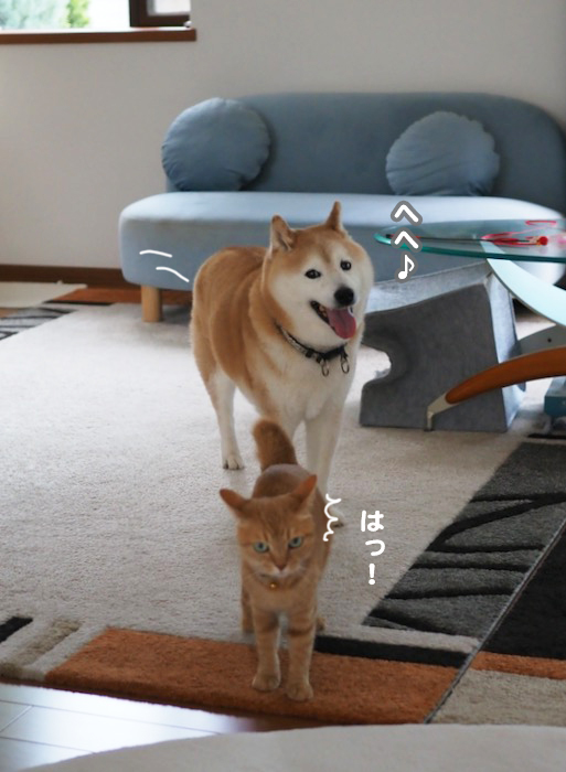 27日夕ブログ２