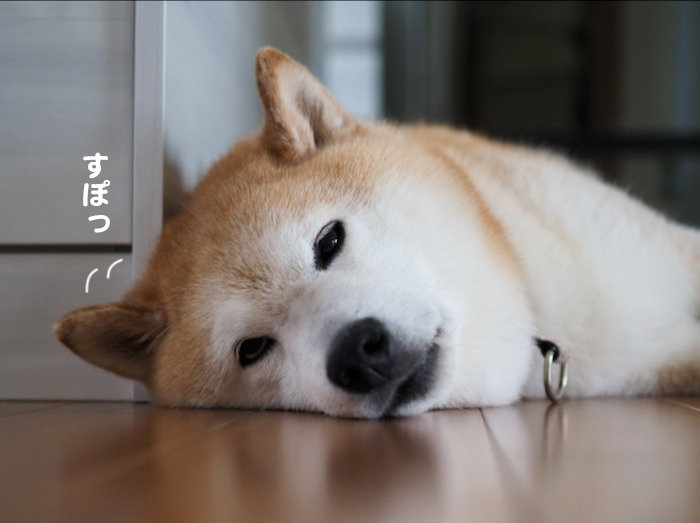 4日夕ブログ５