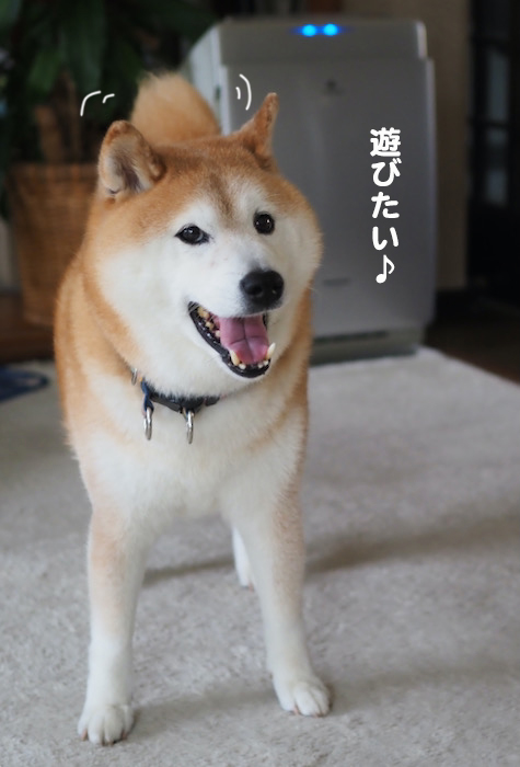 23日夕ブログ２