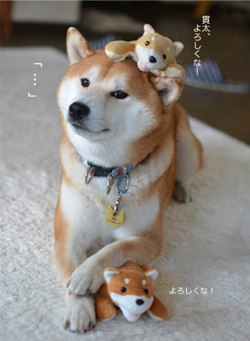 30日ブログ4.jpg