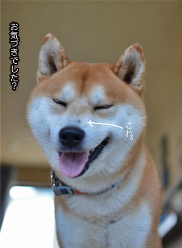 23日ブログ2.jpg
