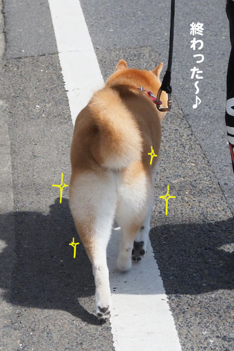 9日ブロ２