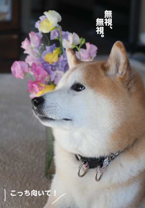 4日ブログ２