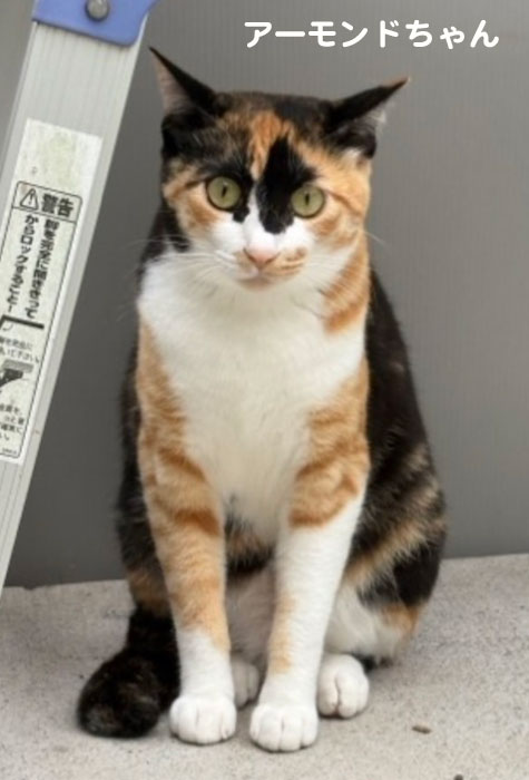 23日夕ブログ６